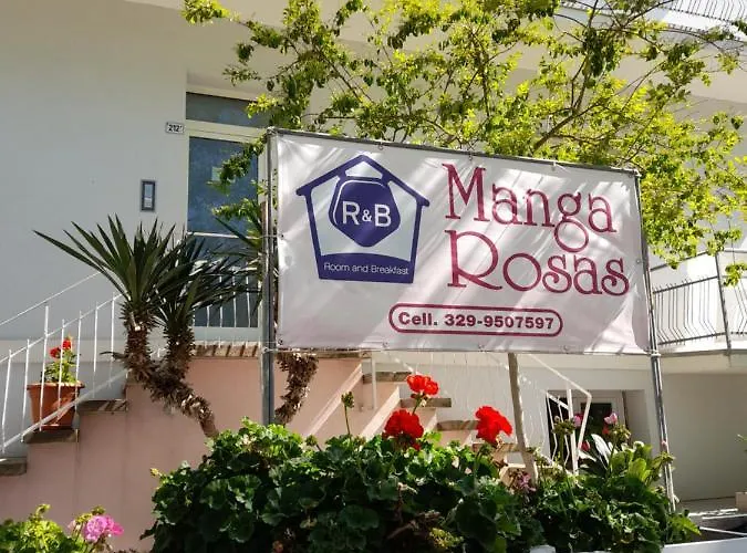 R&B Manga Rosas